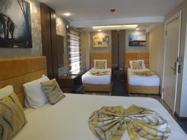 ANKUVA HOTEL : photo 5 de la chambre chambre triple