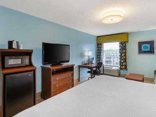 Best Western Plus Myrtle Beach@Intracoastal : photo 1 de la chambre chambre lit king-size avec canapé-lit - non-fumeurs
