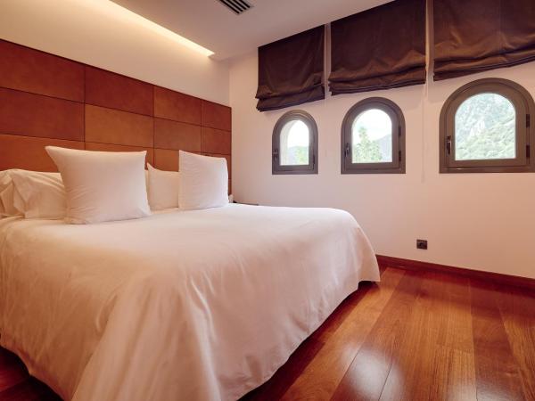 Andorra Park Hotel : photo 1 de la chambre chambre tour