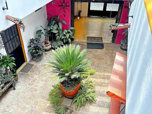 #1-Rooftop Garden-7 Bedrooms-9 Beds-3 Kitchens : photo 10 de la chambre maison de vacances