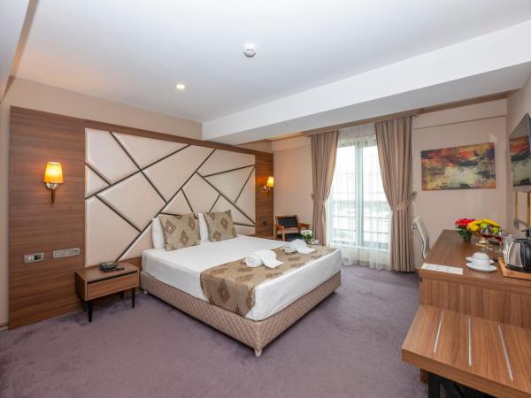 Litros Hotel & Spa : photo 7 de la chambre chambre double ou lits jumeaux standard