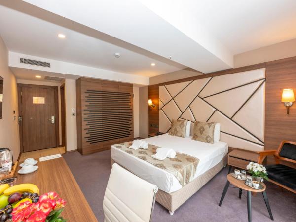 Litros Hotel & Spa : photo 8 de la chambre chambre double ou lits jumeaux standard