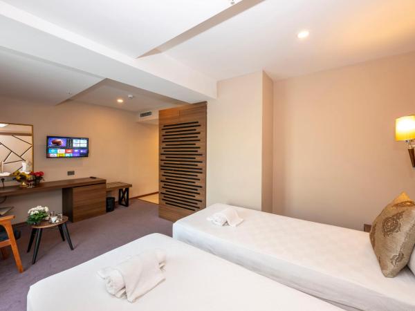 Litros Hotel & Spa : photo 4 de la chambre chambre double ou lits jumeaux standard