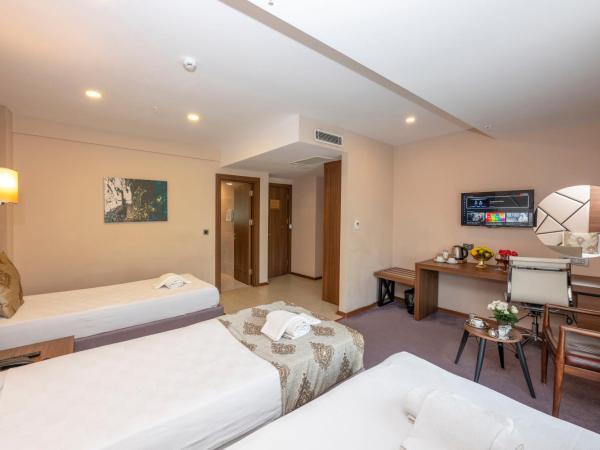 Litros Hotel & Spa : photo 9 de la chambre chambre triple standard