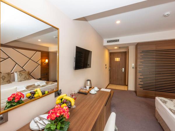 Litros Hotel & Spa : photo 5 de la chambre chambre double standard