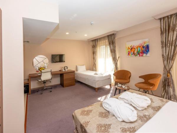 Litros Hotel & Spa : photo 6 de la chambre chambre deluxe