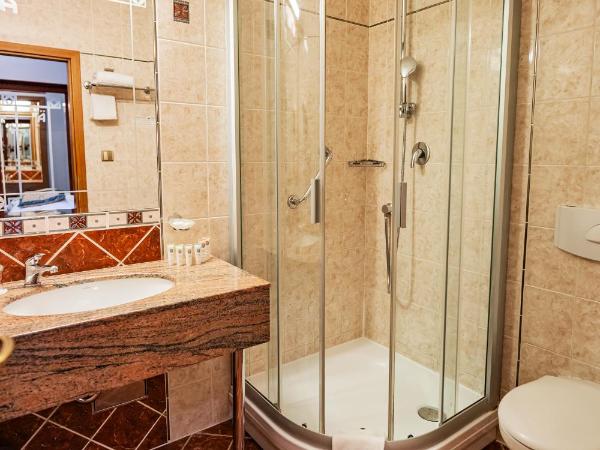 Hotel U Divadla - Czech Leading Hotels : photo 2 de la chambre chambre simple