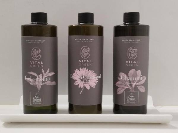 Hotel Best Andorra Center : photo 7 de la chambre chambre double standard (2 adultes)