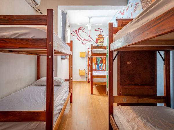 Books Hostel : photo 4 de la chambre lit simple en dortoir mixte avec climatisation (6 adultes)