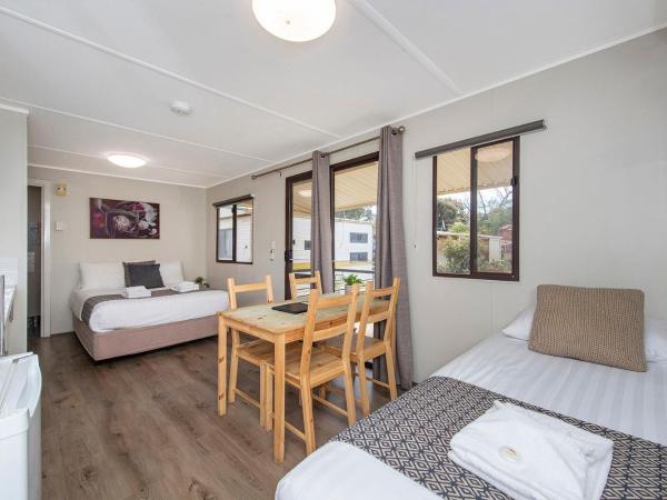 Banksia Tourist Park : photo 1 de la chambre budget cabin - pet friendly (sleeps 3) 