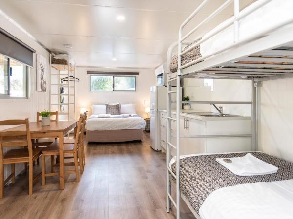 Banksia Tourist Park : photo 6 de la chambre lux cabin - pet friendly (sleeps 4)