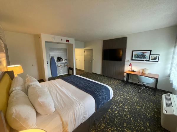 Saint Louis Airport Hotel : photo 4 de la chambre chambre lit king-size pour personnes à mobilité réduite