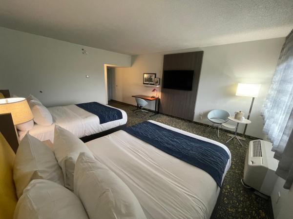 Saint Louis Airport Hotel : photo 2 de la chambre grande chambre double