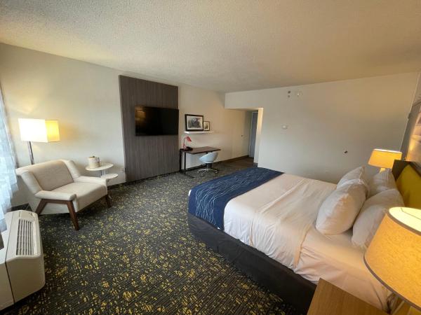 Saint Louis Airport Hotel : photo 4 de la chambre chambre lit king-size supérieure