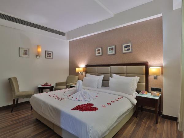 Krios Hotel : photo 5 de la chambre chambre deluxe