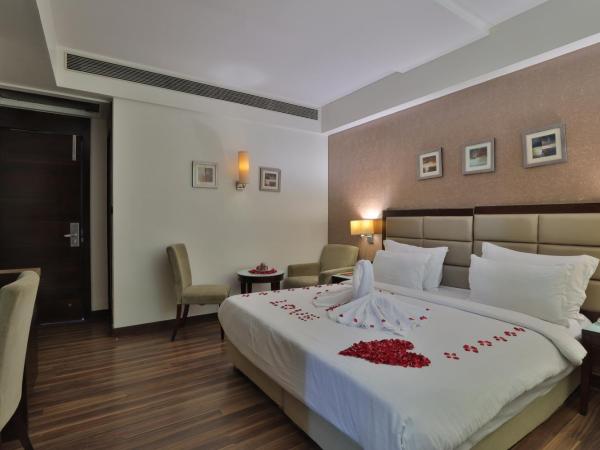 Krios Hotel : photo 6 de la chambre chambre deluxe