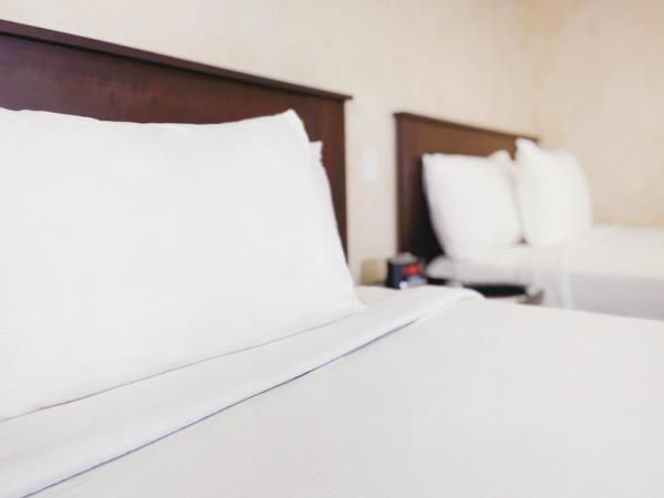 Nite Inn at Universal City - Walking Distance to Universal Studios Hollywood : photo 9 de la chambre chambre double avec 2 lits doubles