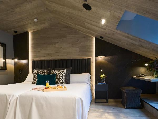 Hotel Regina : photo 2 de la chambre chambre penthouse avec terrasse