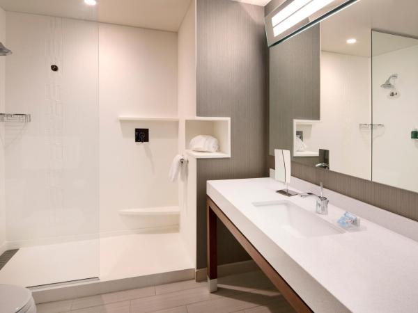 Courtyard by Marriott Atlanta Vinings/Galleria : photo 2 de la chambre chambre lit king-size - vue sur ville