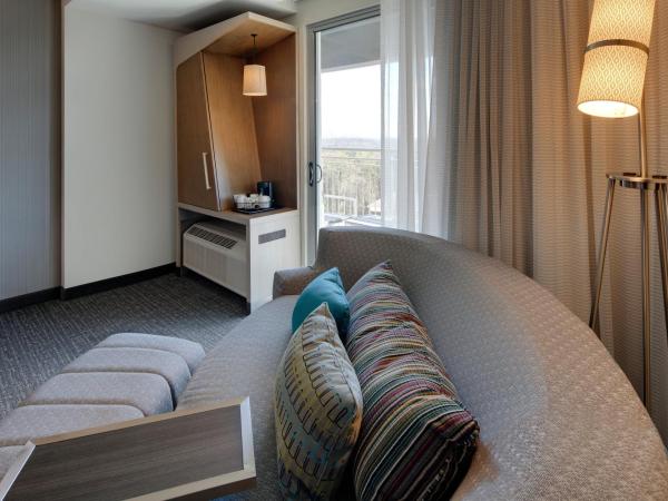 Courtyard by Marriott Atlanta Vinings/Galleria : photo 3 de la chambre chambre lit king-size - vue sur ville