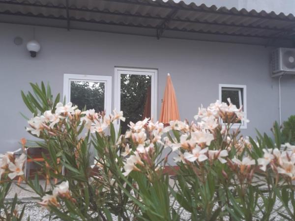 Residenza le dimore 3 : photo 9 de la chambre studio