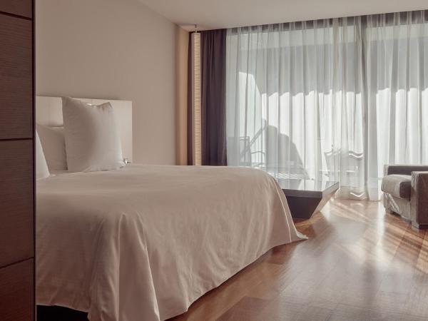 Andorra Park Hotel : photo 4 de la chambre suite parc