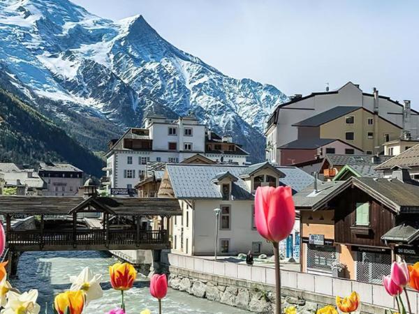 Residence Le Domaine du Jardin Alpin - Courchevel 1850 : photo 1 de la chambre appartement avec balcon - 413a