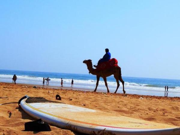 Surf Lessons Experience with Hassi : photo 4 de la chambre tente