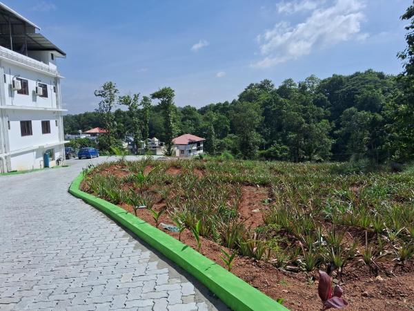 Shamrock Inn : photo 4 de la chambre chambre deluxe double ou lits jumeaux