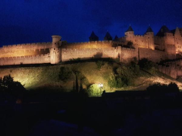 Hotel Du Pont Vieux : photo 7 de la chambre chambre privilège lits jumeaux - vue sur jardin