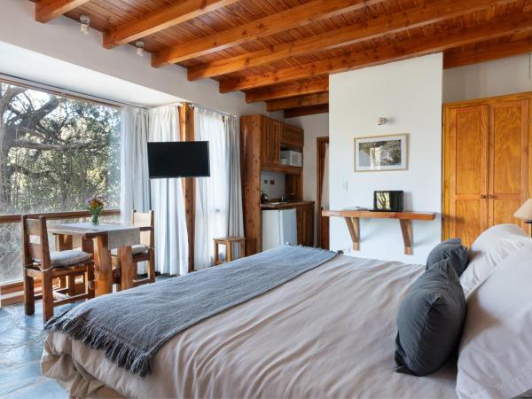 Villa Sofía Apart Hotel : photo 1 de la chambre studio