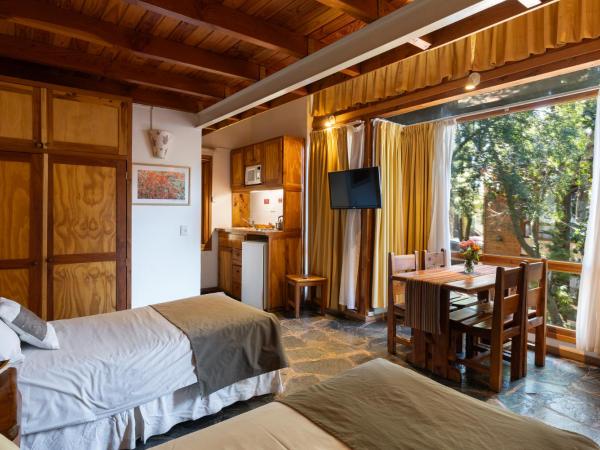 Villa Sofía Apart Hotel : photo 1 de la chambre appartement en duplex