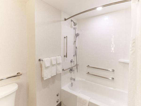 Holiday Inn & Suites Ottawa Kanata, an IHG Hotel : photo 3 de la chambre chambre lit king-size avec baignoire accessible aux personnes à mobilité réduite - adaptée aux personnes à mobilité réduite