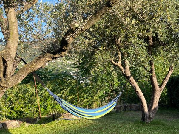 Casa dei Nonni : photo 3 de la chambre appartement - vue sur jardin