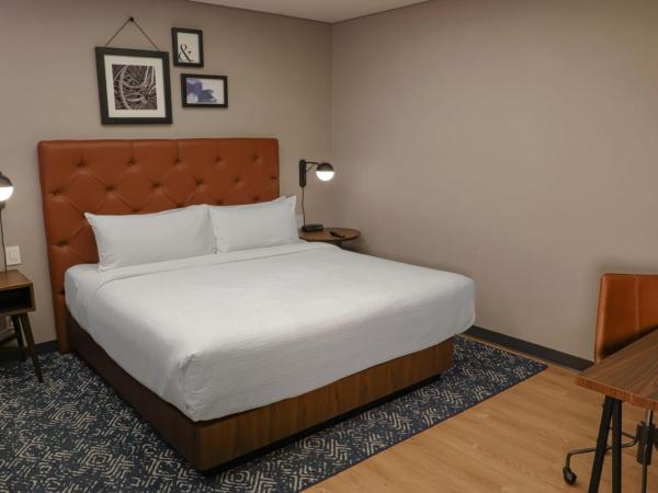 Four Points by Sheraton Mexico City Colonia Roma : photo 2 de la chambre chambre lit king-size