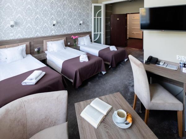 Hotel Maximum : photo 8 de la chambre chambre triple