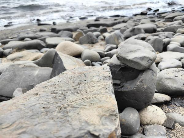 Cosy Bee and Apartment : photo 10 de la chambre chambre double avec salle de bains commune