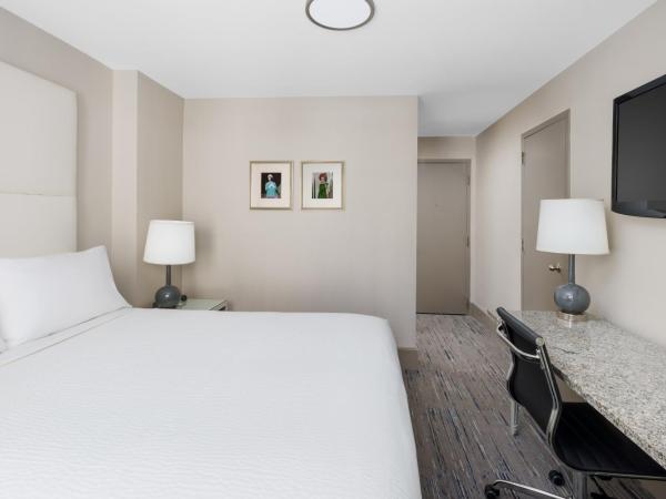 Holiday Inn Express Chicago - Magnificent Mile, an IHG Hotel : photo 4 de la chambre chambre standard lit queen-size