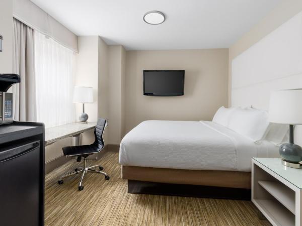 Holiday Inn Express Chicago - Magnificent Mile, an IHG Hotel : photo 4 de la chambre hébergement lit king-size standard