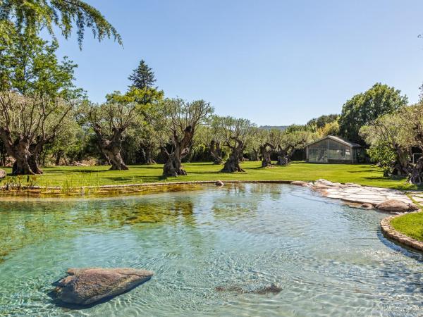Domaine Les Mésanges : photo 1 de la chambre villa supérieure