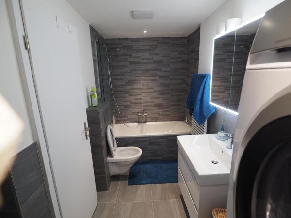 Hotel Silberhorn - Residences & Spa Wengen : photo 2 de la chambre appartement jungfraupeak