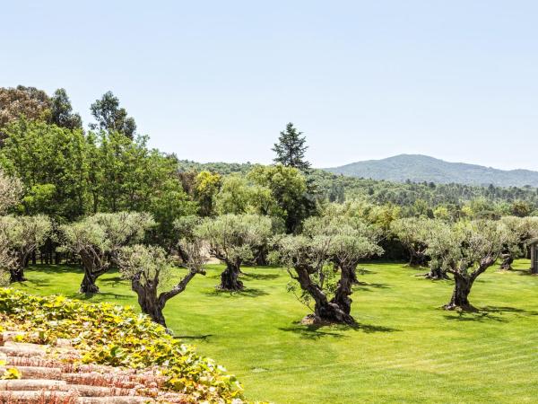 Domaine Les Mésanges : photo 10 de la chambre villa supérieure
