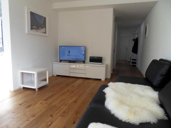 Hotel Silberhorn - Residences & Spa Wengen : photo 3 de la chambre appartement silverpeak