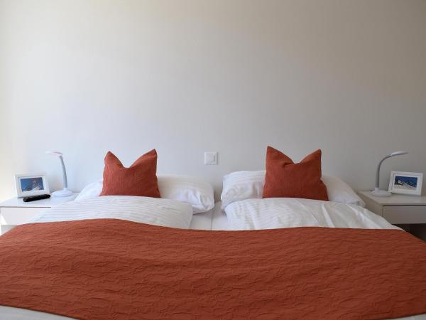 Hotel Silberhorn - Residences & Spa Wengen : photo 6 de la chambre appartement eigerpeak