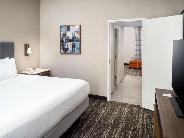 Embassy Suites by Hilton Orlando North : photo 7 de la chambre suite lit king-size – non-fumeurs