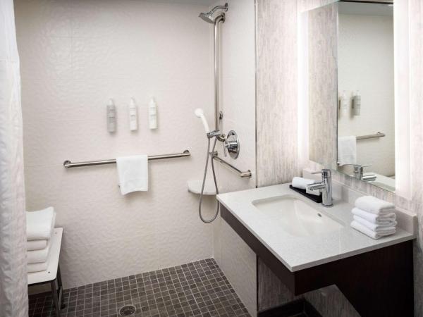 Embassy Suites by Hilton Orlando North : photo 3 de la chambre suite lit king-size adaptée aux personnes à mobilité réduite ou malentendantes - douche accessible en fauteuil roulant - non-fumeurs