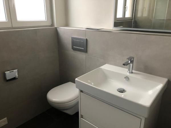 Hotel Silberhorn - Residences & Spa Wengen : photo 5 de la chambre appartement - vue sur le breithorn