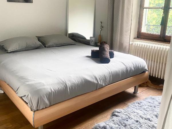 Chambre double vue lac Montreux centre : photo 8 de la chambre chambre double - vue sur montagne