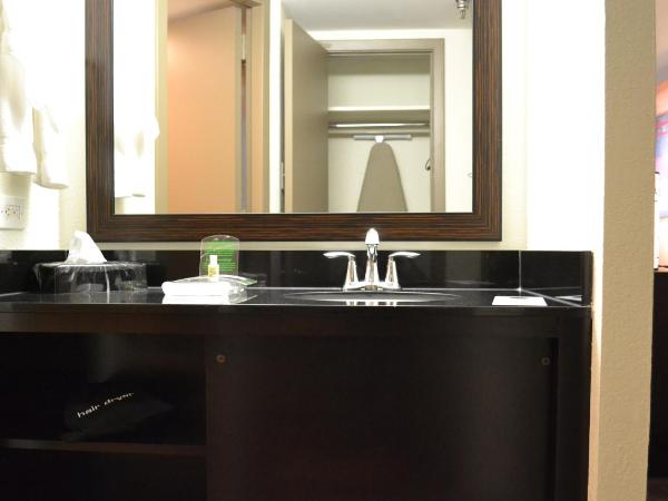 Holiday Inn Houston S - NRG Area - Med Ctr, an IHG Hotel : photo 3 de la chambre chambre standard