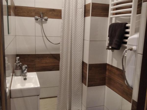Hotelik rodzinny 365 pokoje z łazienkami : photo 3 de la chambre chambre simple avec salle de bains